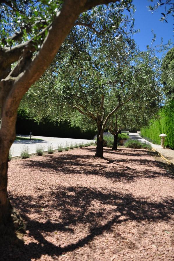 Le Jardin Des Amandiers Châteaurenard Buitenkant foto