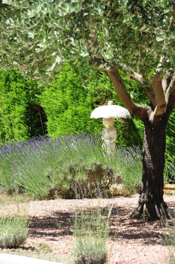 Le Jardin Des Amandiers Châteaurenard Buitenkant foto